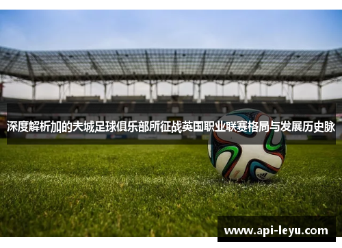 深度解析加的夫城足球俱乐部所征战英国职业联赛格局与发展历史脉