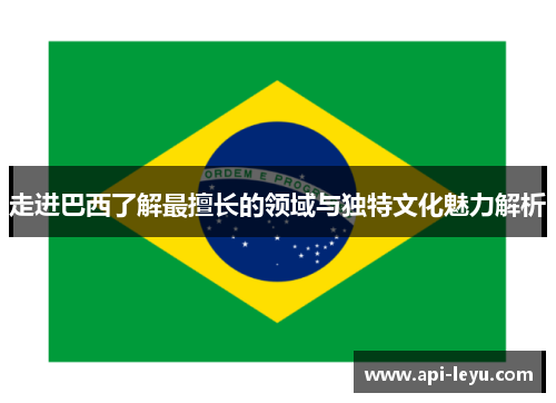走进巴西了解最擅长的领域与独特文化魅力解析
